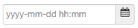 date and time input field