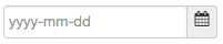 date only input field